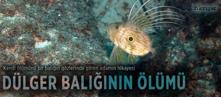 olumunu baligin gozlerinde goren adamin hikayesi dulger baliginin olumu fikriyat