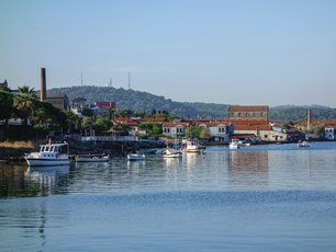 Zeytin Ağaçlarının Gölgesinde Yaşayan Tarih