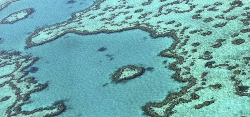 CORAL REEFS DAMAGED BY HEATWAVES FASTER THAN THOUGHT, RESEARCH SAYS