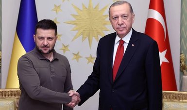 Ukraine's Zelenskiy to visit Türkiye on Friday: Turkish presidency