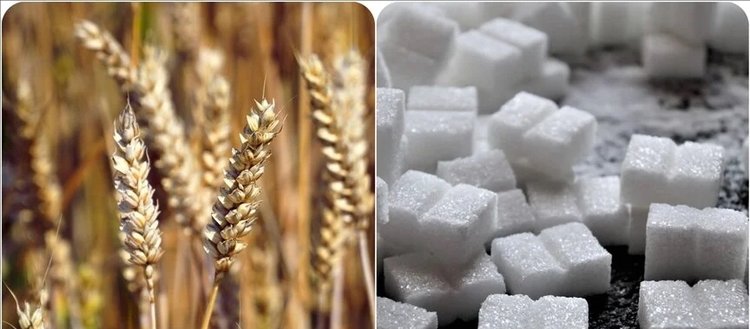 Tahıl ve şekerin insan hayatına girmesiyle diş çürüklerinin arttığı belirlendi