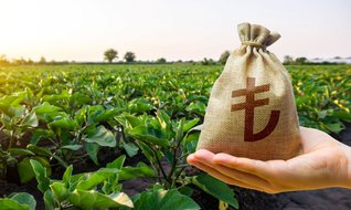 Bankalardan tarlalara kredi yağıyor