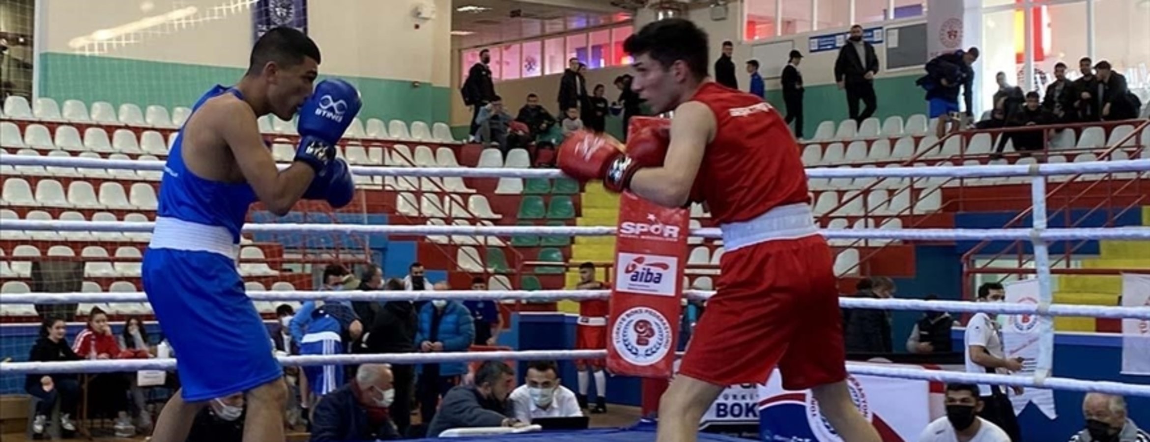 Dünya Boks Şampiyonası