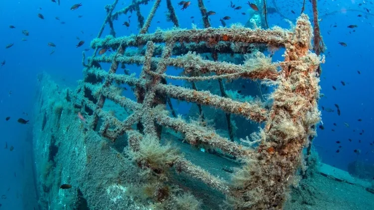 Türkiye’s Karaburun draws divers with sunken ferry, rich marine life