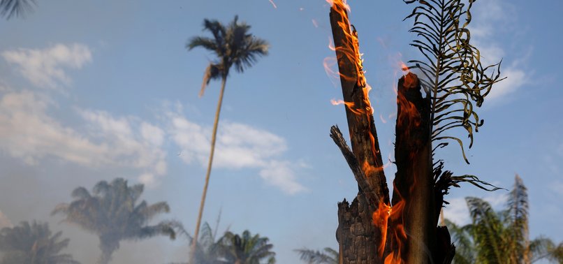 FOREST FIRES IN BRAZIL SURGE AS DEFORESTATION ACCELERATES