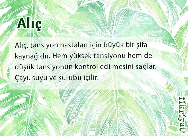 Alıç
