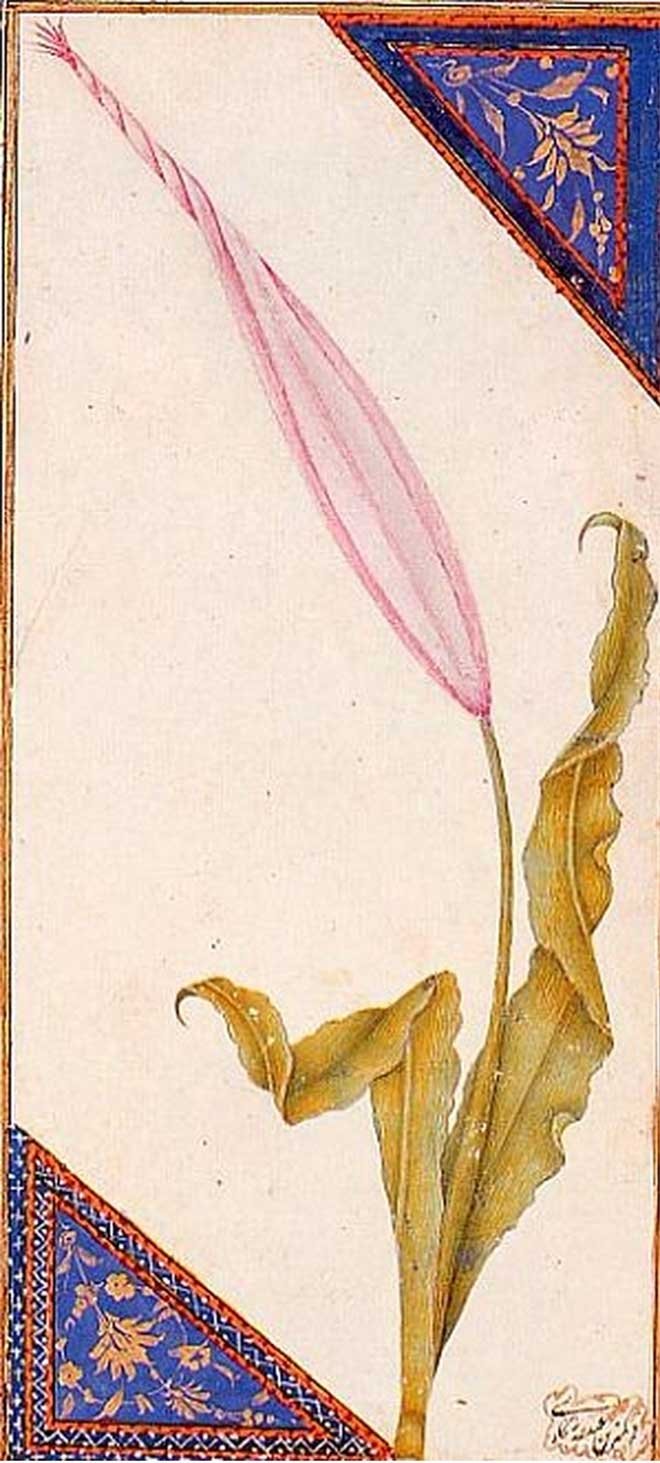 Osmanli Dan Gunumuze 15 Minyatur Sanatcisi Fikriyat Gazetesi