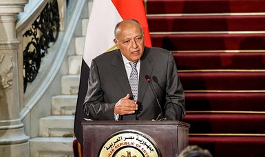 Egypt's FM Shoukry to visit Türkiye to discuss Middle East tensions - source