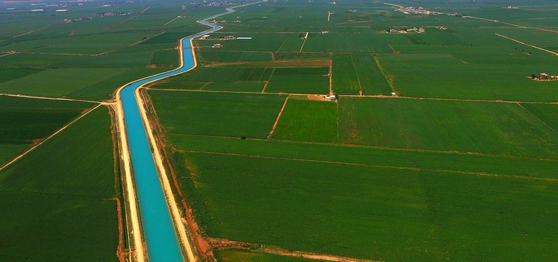 WATER BREATHES NEW LIFE INTO HARRAN PLAIN IN SOUTHEAST