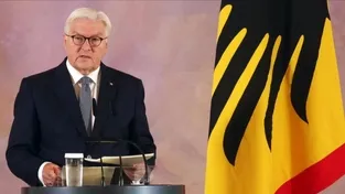 Steinmeier’den Ayrımcılığa Tepki