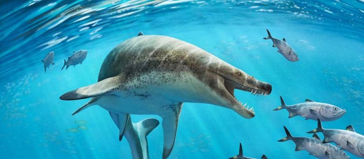 Dinozor çağında yaşamış korkunç yüzlü dev deniz kertenkelesi türü keşfedildi