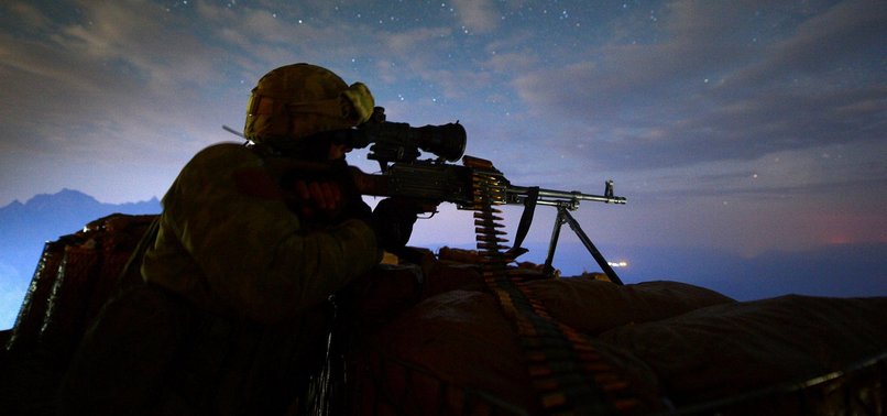 TURKISH FORCES KILL OVER 350 PKK TERRORISTS IN NOVEMBER