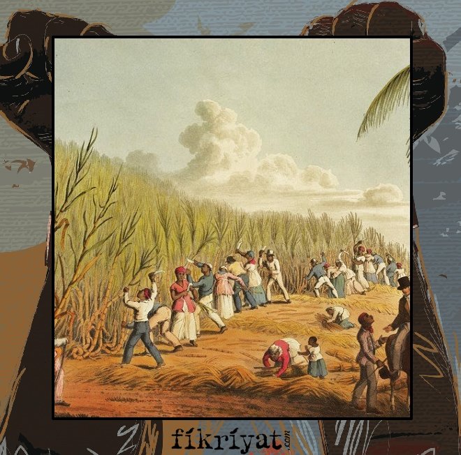 AMERİKA’NIN KANLI TARİHİ