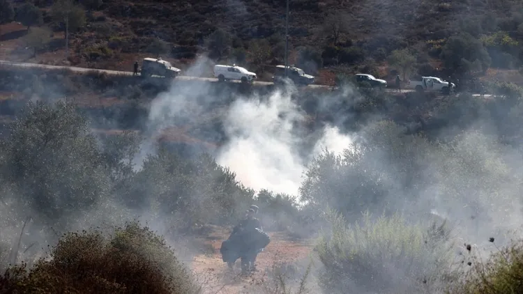 Genocidal Israeli forces intervened against Palestinians trying to harvest olives in the West Bank