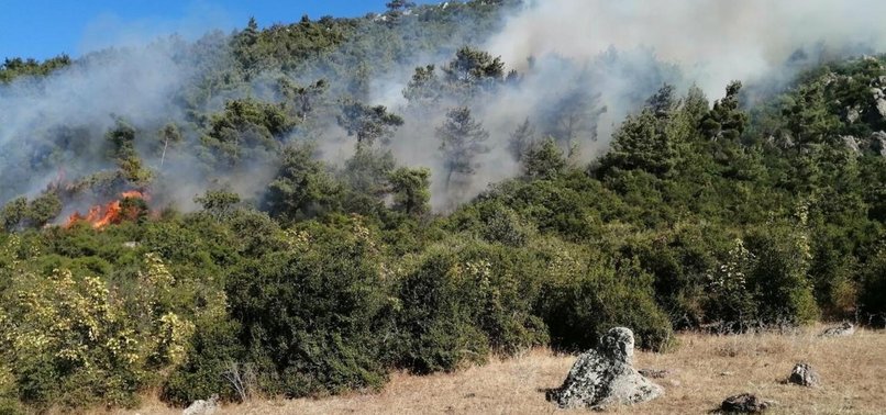 Combating climate disasters: Türkiyes approach to tackle forest fires