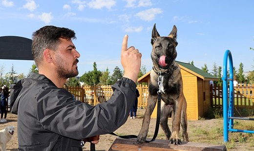 Türkiye honors Mexican rescue dog with training ground named after it