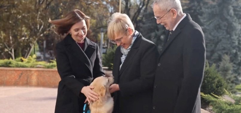 MOLDOVA PRESIDENT SANDUS DOG BITES VISITING AUSTRIAN COUNTERPART ALEXANDER VAN DER BELLEN