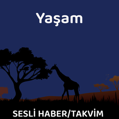 Kısa sürede hızlı sonuç | İşte Hollywood yıldızlarının kırmızı halı diyeti: 5 günde kilo verin! / 02.06.25