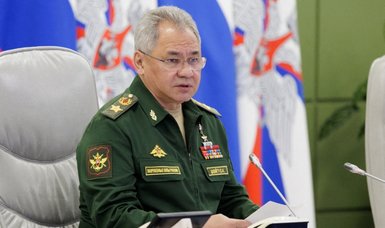 Russia defence chief Shoigu makes Iran visit