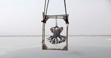 Frozen crystal beauty in the Dead Sea