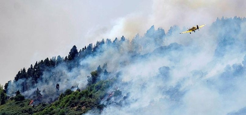 WILDFIRE ON CANARY ISLANDS FORCES 8,000 PEOPLE TO EVACUATE