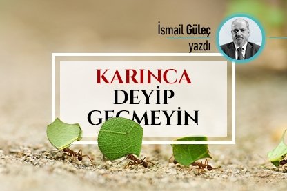 Karınca deyip geçmeyin