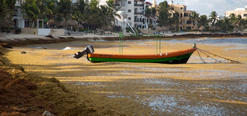 MEXICO CARIBBEAN BEACHES MAY SEE WORST SARGASSUM SINCE 2018