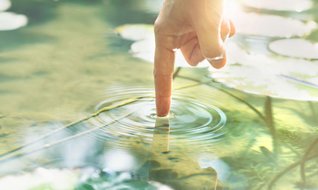 Bankaların ’yeşil finansman’ projeleri