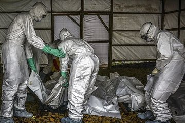 Ebola’dan ölenlerin sayısı 1183’e çıktı