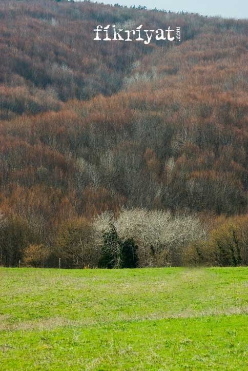 POLENEZKÖY NEREDE VE NASIL GİDİLİR?