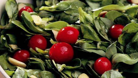 Sarımsaklı Semizotu Salatası