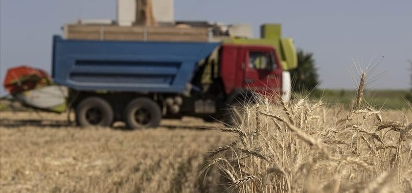 EU EXTENDS TARIFF-FREE ACCESS FOR UKRAINIAN AGRICULTURAL GOODS