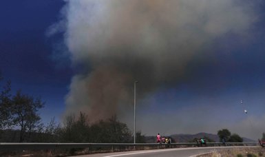Extreme heat drives Chile wildfires leaving at least 51 dead