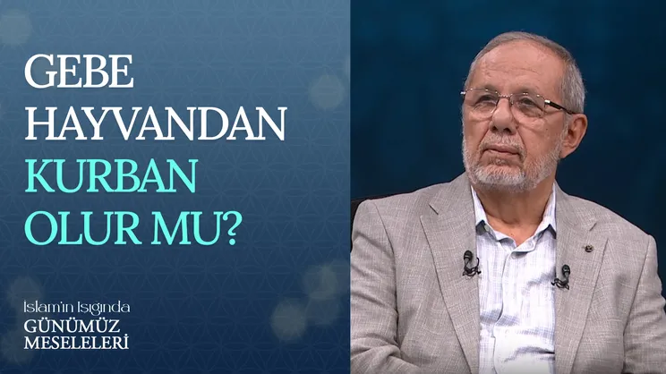 Gebe Hayvandan Kurban Olur Mu?