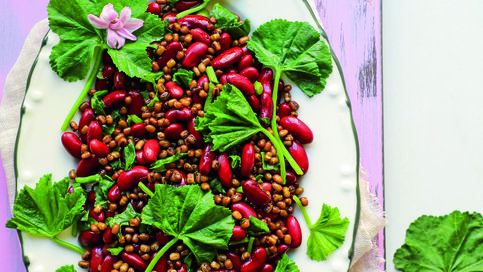 Ege Otlu Bakliyat Salatası