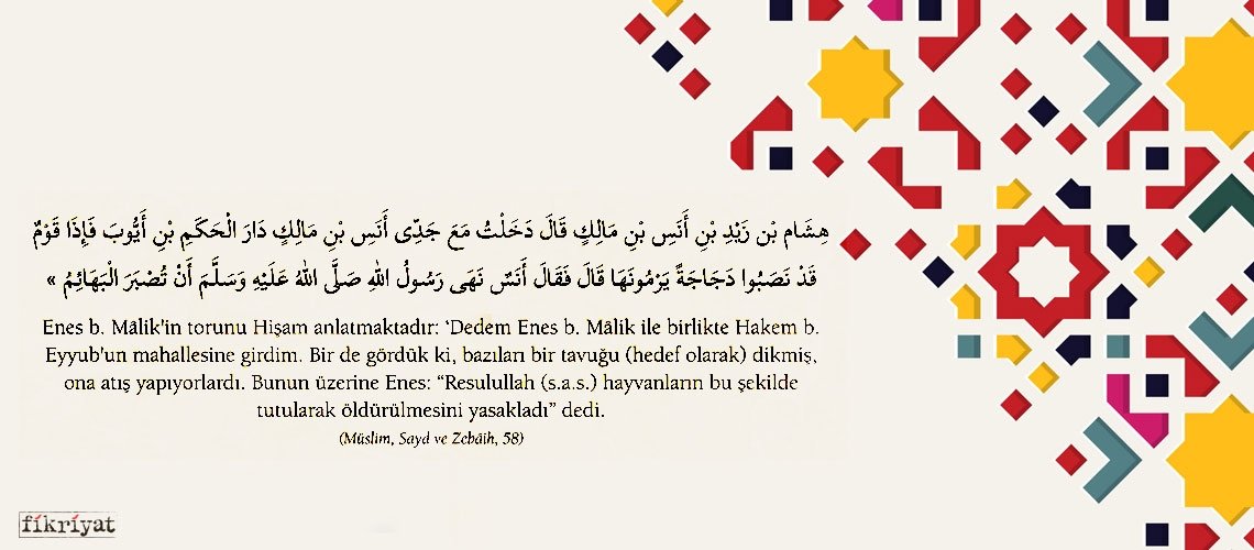 Hz. Peygamber’in merhamet ile ilgili 40 hadisi