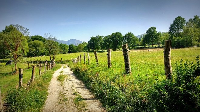 Edebiyatın önemli şairlerinden bahar konulu şiirler