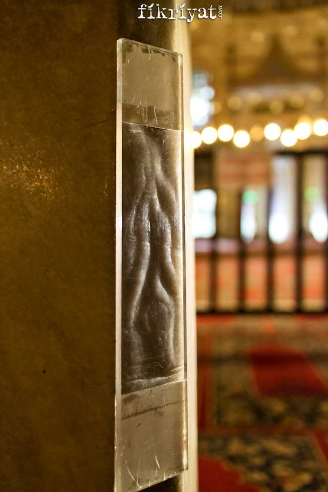 CAMİDEKİ TERS LALENİN SIRRI