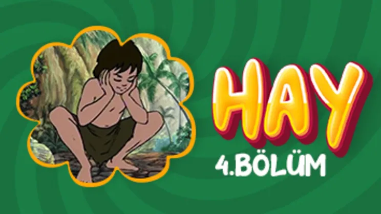Hay  4. Bölüm