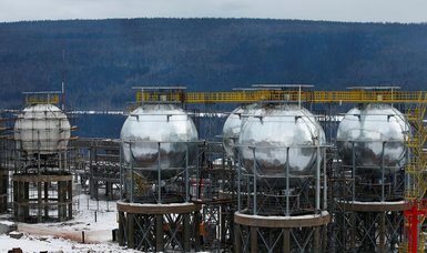 Baltic states bought twice as much Russian LPG last year - traders