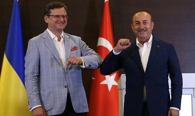 Turkish, Ukrainian foreign ministers Çavuşoğlu and Kuleba discuss Ukraine-Russia tensions over phone