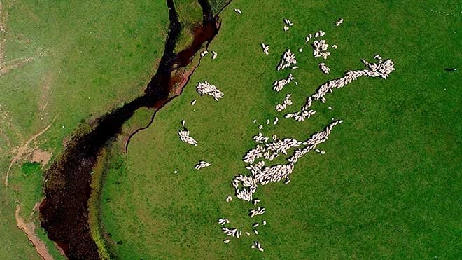 Karadeniz’in doğa harikası: Perşembe Yaylası