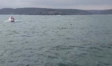 Mine-like object found floating north of Istanbul near Black Sea