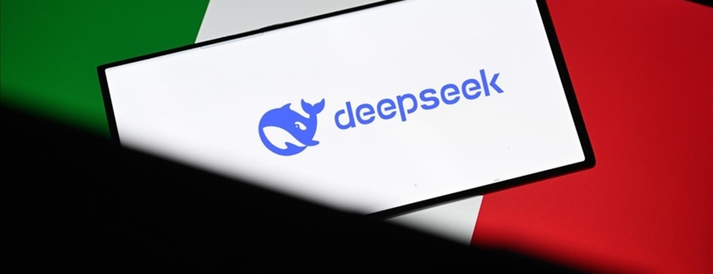 İtalya’da Çinli yapay zeka uygulaması DeepSeeke erişim engeli getirildi