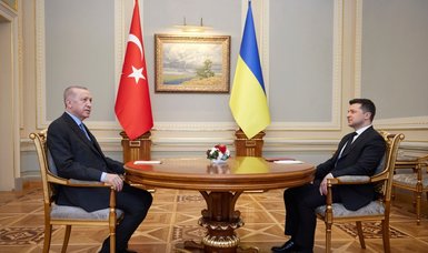 Ukraine's Zelenskyy thanks Türkiye for prisoner swap deal with Russia