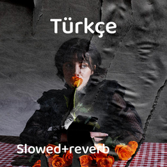 Gökyüzünü Tutamam (Slowed+Reverb)