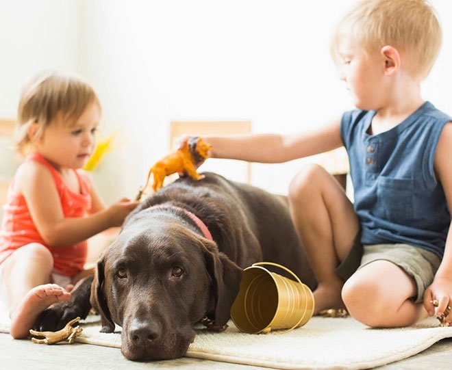 7. YERİNİN GÃZEL OLMASI HAKKI