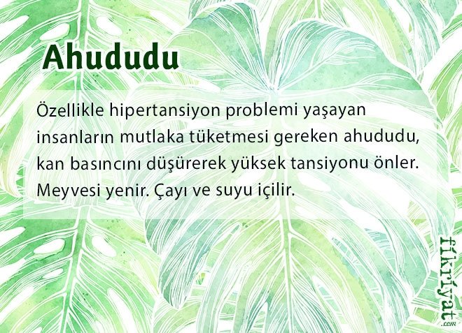 Ahududu