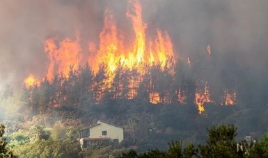 iPhone prevented forest fire, sent signal via satellite