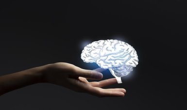 New study suggests alzheimer’s may start outside the brain